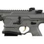 AIRSOFT ELECTRIC RIFLE BAMF TEAM GG-BAMF G&G ARMAMENT VG-016-TEM-ANB-NCM