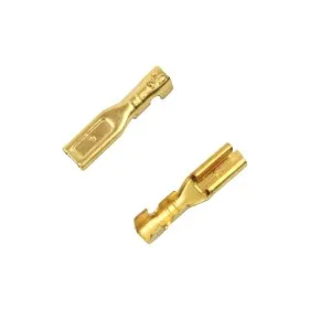D|BOYS COPPER MOTOR CONNECTORS DB063