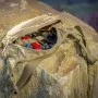 HELIKON-TEX MARSUPIO POSSUM WAIST PACK® - CORDURA® - MULTICAM®  TB-PSM-CD-34