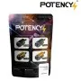 POTENCY BUSTA 1KG PALLINI STELLAR SURGICAL SHOT 0.25g 4000pcs  PTY-025-WH