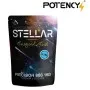POTENCY BUSTA 1KG PALLINI STELLAR SURGICAL SHOT 0.28g 3570pcs  PTY-028-WH