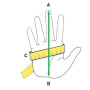 Security and police Kevlar cut-resistant tactical gloves